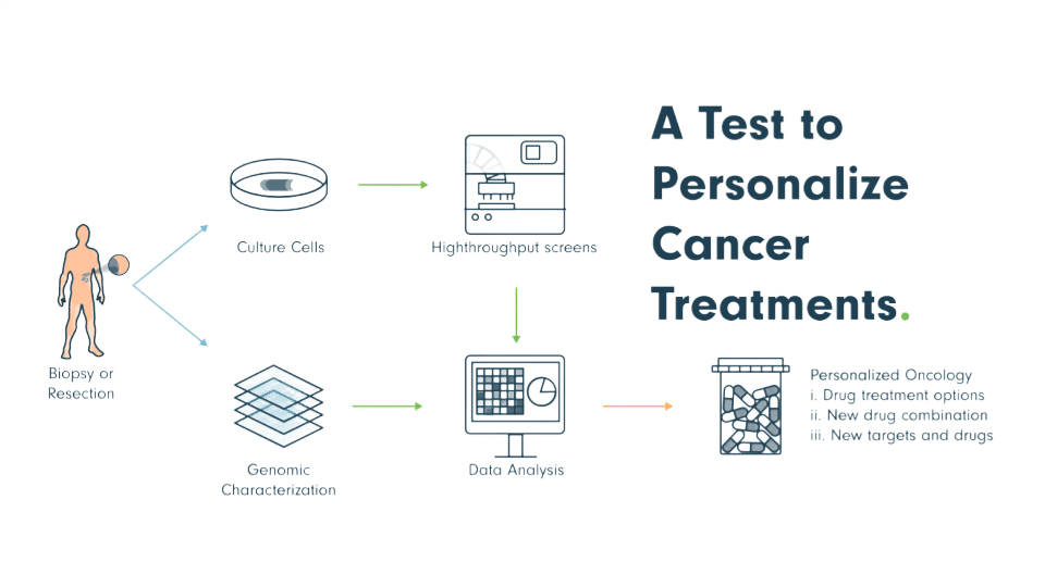 Treatment and services diagram